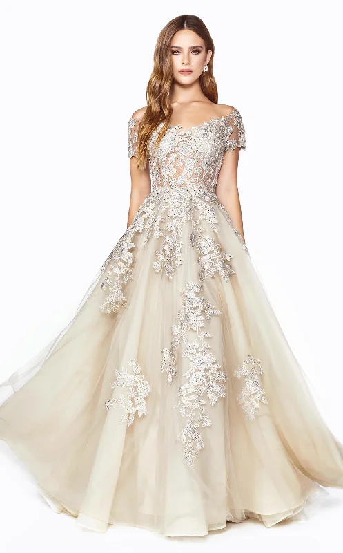 Stunning Silk Gown Cinderella Divine C20 Dress