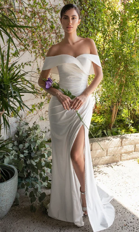 Elegant Tulle Gown Cinderella Divine Bridals CD930