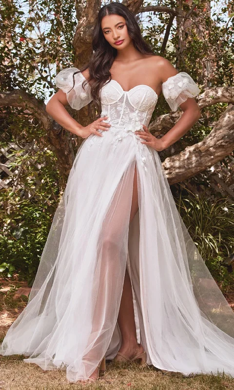 Striking Red Gown Cinderella Divine CB080W