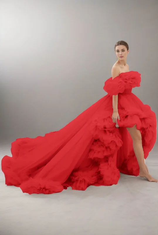 Stunning Silk Gown A-Line Court Train Tulle Prom Dress CS0406