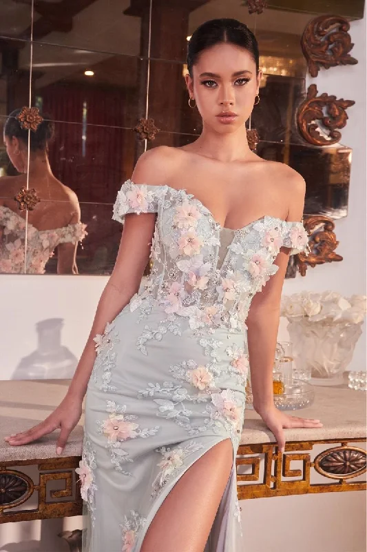 Full Skirt Dress CD005