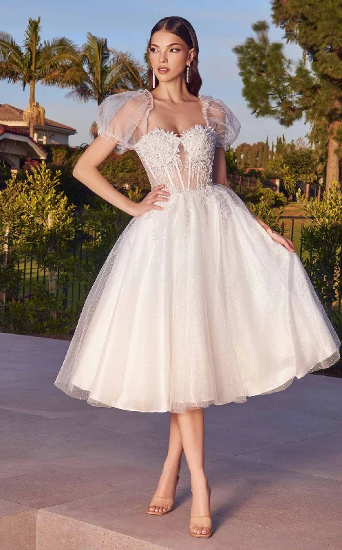 Subtle Shine Dress LaDivine CD0187W Dress